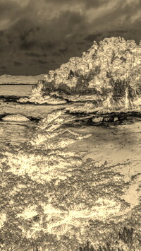 Sepia + Negatyw
