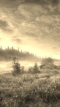 Szary + Sepia
