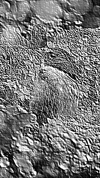Skamielina