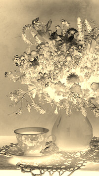 Sepia + Negatyw