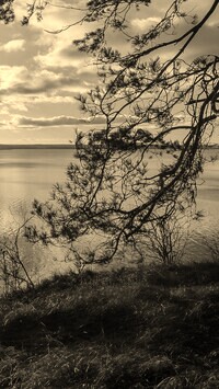Szary + Sepia
