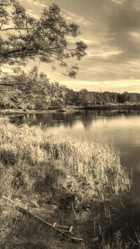 Szary + Sepia