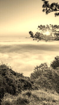 Sepia