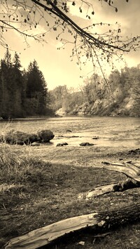 Szary + Sepia