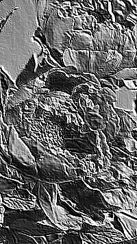 Skamielina