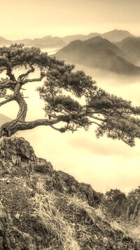 Szary + Sepia