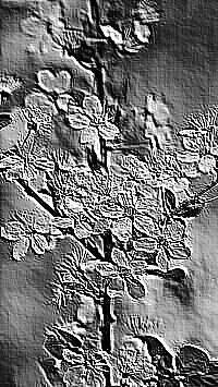 Skamielina