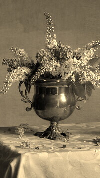 Szary + Sepia