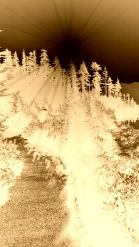 Sepia + Negatyw