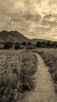 Szary + Sepia