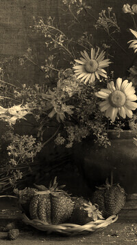Szary + Sepia