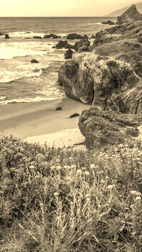 Sepia