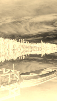 Sepia + Negatyw