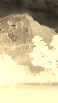 Sepia + Negatyw