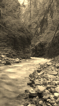 Sepia