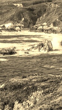 Szary + Sepia
