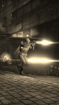 Szary + Sepia
