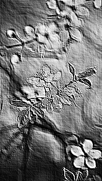 Skamielina