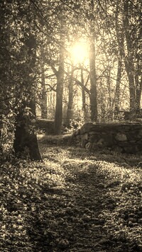 Szary + Sepia