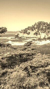 Sepia