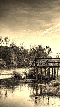Szary + Sepia