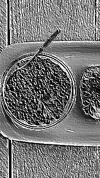 Skamielina
