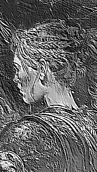 Skamielina