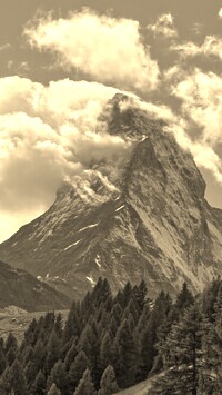 Szary + Sepia