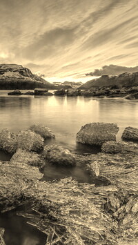 Szary + Sepia