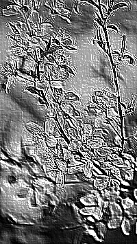Skamielina