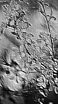 Skamielina