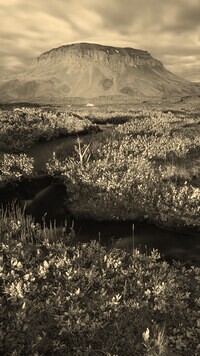 Szary + Sepia