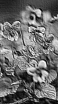 Skamielina