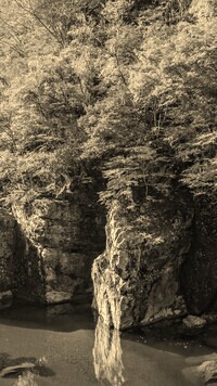 Szary + Sepia