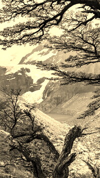 Szary + Sepia