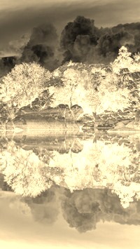 Sepia + Negatyw