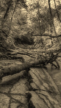 Szary + Sepia