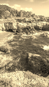 Sepia