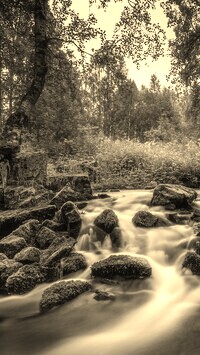 Sepia