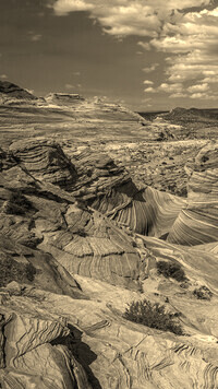 Szary + Sepia