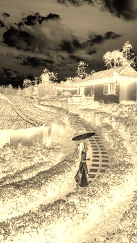 Sepia + Negatyw