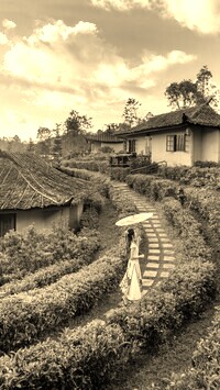 Sepia