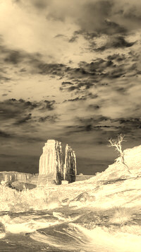 Sepia + Negatyw