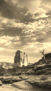 Szary + Sepia