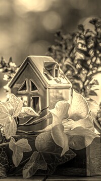 Szary + Sepia
