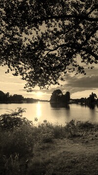 Szary + Sepia