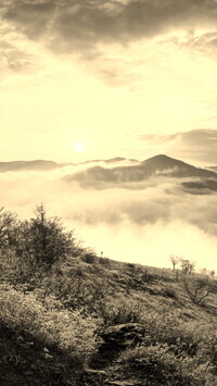 Sepia