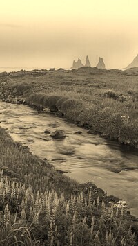 Szary + Sepia