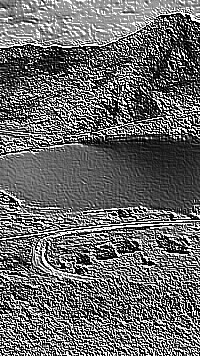 Skamielina