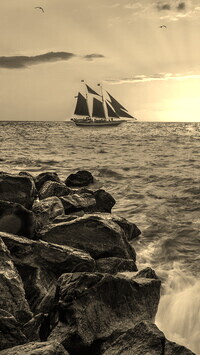Szary + Sepia